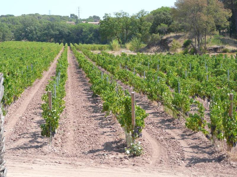 La Bastide Du Clos Des Roses - Teritoria Fréjus Exteriör bild