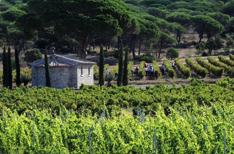 La Bastide Du Clos Des Roses - Teritoria Fréjus Exteriör bild